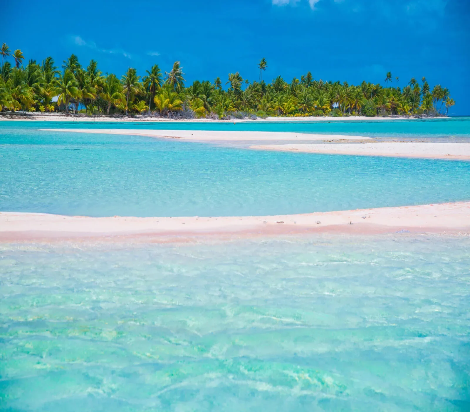 Tikehau une plage de sable rose typique de tikehau a lei tao 1 1600x1400 f50 50